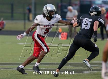 Thumbnail 2 in Butler @ Hough photogallery.