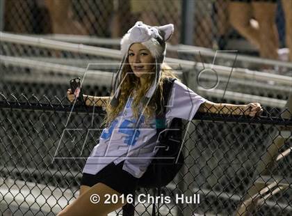 Thumbnail 2 in Butler @ Hough photogallery.