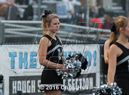 Thumbnail 3 in Butler @ Hough photogallery.