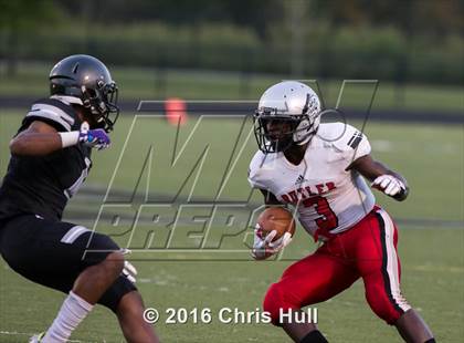 Thumbnail 2 in Butler @ Hough photogallery.