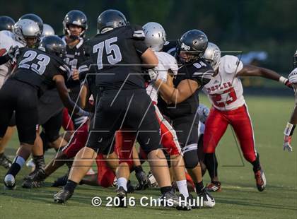 Thumbnail 1 in Butler @ Hough photogallery.