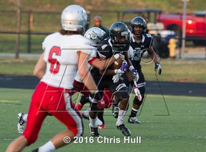 Thumbnail 1 in Butler @ Hough photogallery.