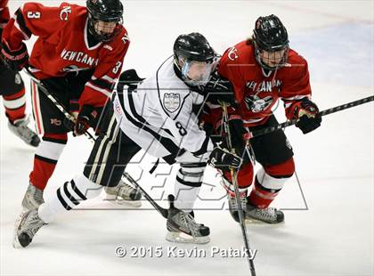Thumbnail 2 in New Canaan @ Xavier photogallery.