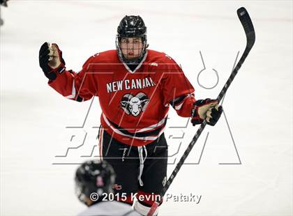 Thumbnail 1 in New Canaan @ Xavier photogallery.
