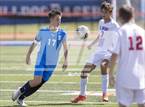 Photo from the gallery "St. Anthony @ St. Teresa"