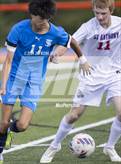 Photo from the gallery "St. Anthony @ St. Teresa"