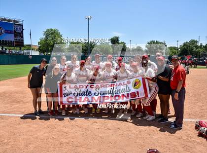 Thumbnail 3 in Melissa vs. Lake Belton (UIL Softball 5A Semifinal) photogallery.