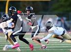 Photo from the gallery "Hayward @ Windsor"