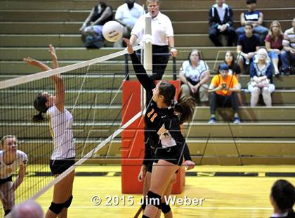 Thumbnail 1 in Land O' Lakes @ Zephyrhills photogallery.