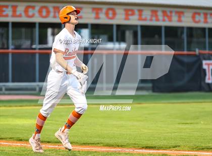 Thumbnail 1 in Spoto @ Plant City photogallery.