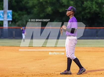 Thumbnail 1 in Spoto @ Plant City photogallery.