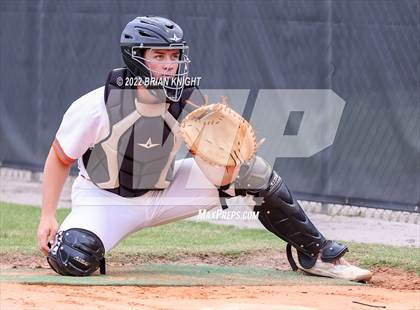 Thumbnail 1 in Spoto @ Plant City photogallery.