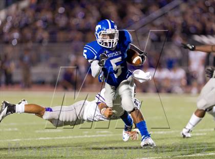Thumbnail 2 in Warren @ Jay photogallery.