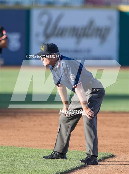 Thumbnail 2 in Lower Dauphin vs Marple Newtown (PIAA 5A Championship) photogallery.