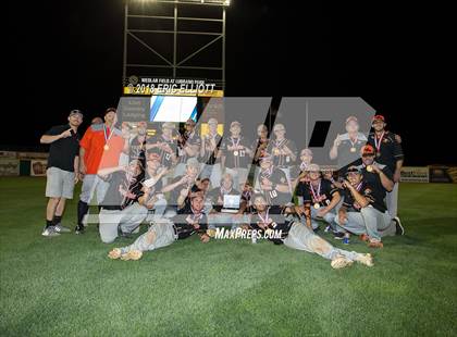 Thumbnail 2 in Lower Dauphin vs Marple Newtown (PIAA 5A Championship) photogallery.