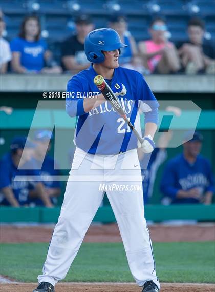 Thumbnail 1 in Lower Dauphin vs Marple Newtown (PIAA 5A Championship) photogallery.