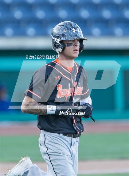 Thumbnail 1 in Lower Dauphin vs Marple Newtown (PIAA 5A Championship) photogallery.