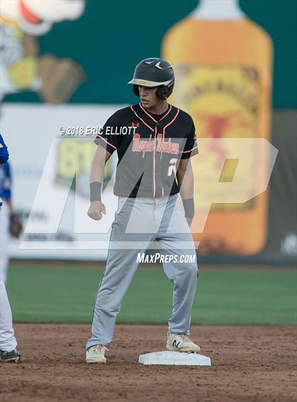 Thumbnail 3 in Lower Dauphin vs Marple Newtown (PIAA 5A Championship) photogallery.
