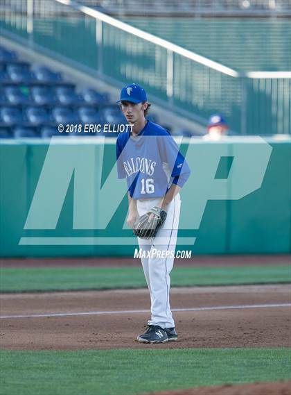 Thumbnail 2 in Lower Dauphin vs Marple Newtown (PIAA 5A Championship) photogallery.