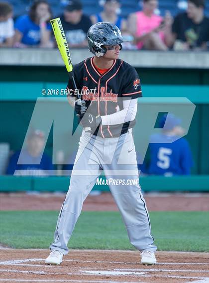 Thumbnail 1 in Lower Dauphin vs Marple Newtown (PIAA 5A Championship) photogallery.
