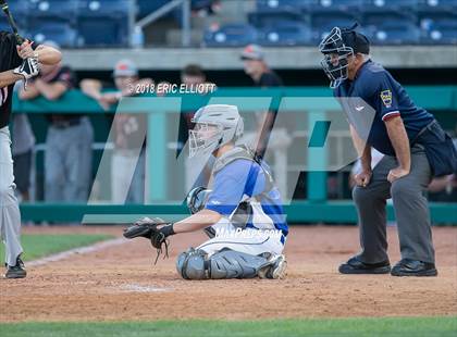 Thumbnail 3 in Lower Dauphin vs Marple Newtown (PIAA 5A Championship) photogallery.
