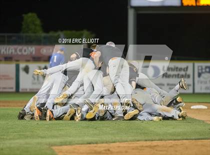 Thumbnail 1 in Lower Dauphin vs Marple Newtown (PIAA 5A Championship) photogallery.