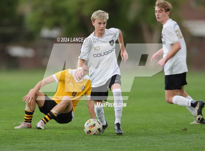 null - Photo 11