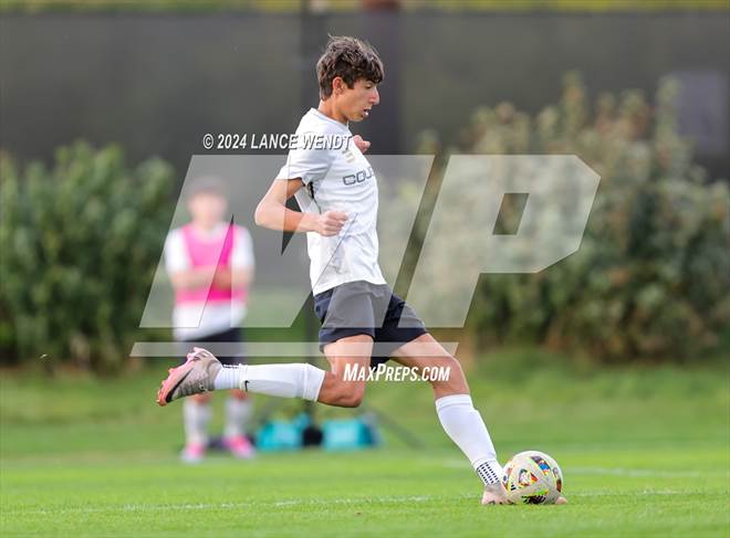 null - Photo 31