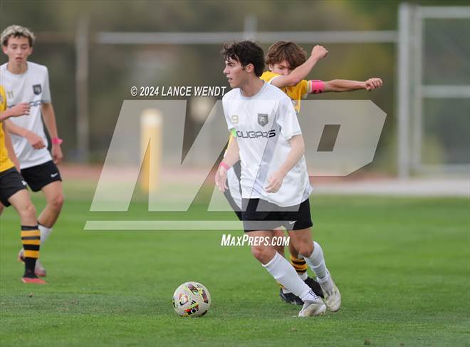 null - Photo 11