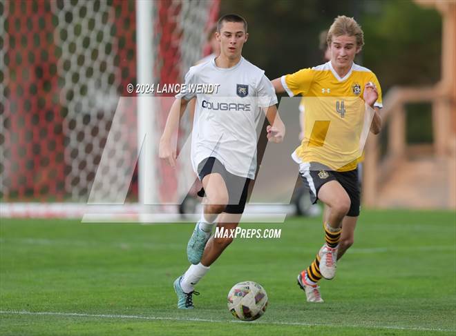 null - Photo 41