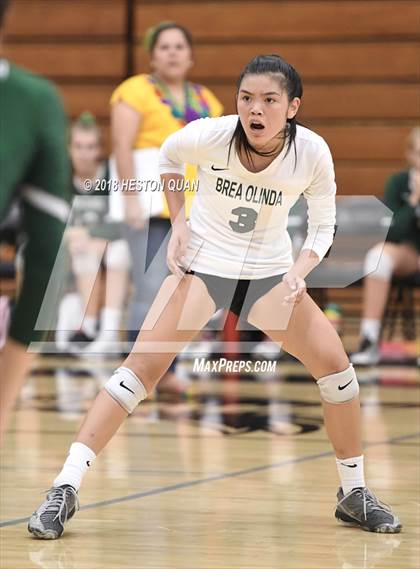 Thumbnail 1 in Brea Olinda @ El Dorado photogallery.
