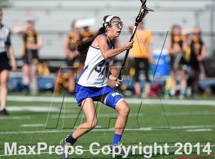 Thumbnail 3 in Amity @ Newtown (CIAC Class L 1st Round) photogallery.