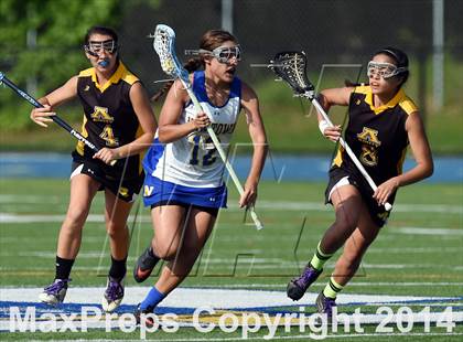 Thumbnail 1 in Amity @ Newtown (CIAC Class L 1st Round) photogallery.