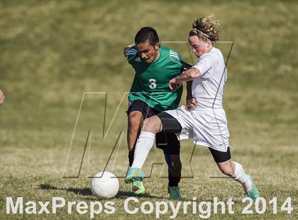 Thumbnail 3 in Payson @ Ben Lomond photogallery.