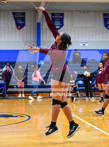 Thumbnail 1 in Snook vs Hearne photogallery.