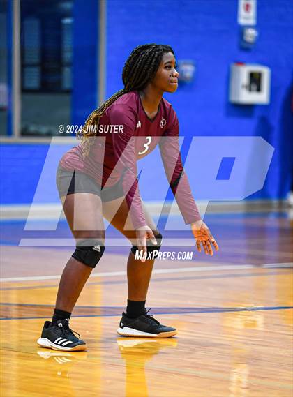 Thumbnail 3 in Snook vs Hearne photogallery.