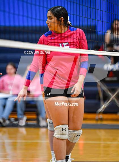 Thumbnail 3 in Snook vs Hearne photogallery.