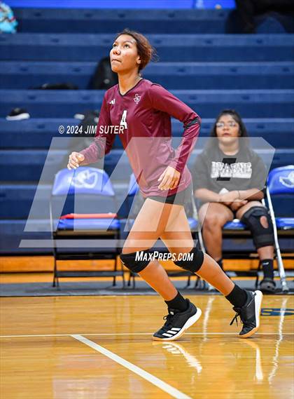Thumbnail 1 in Snook vs Hearne photogallery.