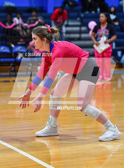 Thumbnail 1 in Snook vs Hearne photogallery.