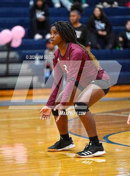 Thumbnail 3 in Snook vs Hearne photogallery.