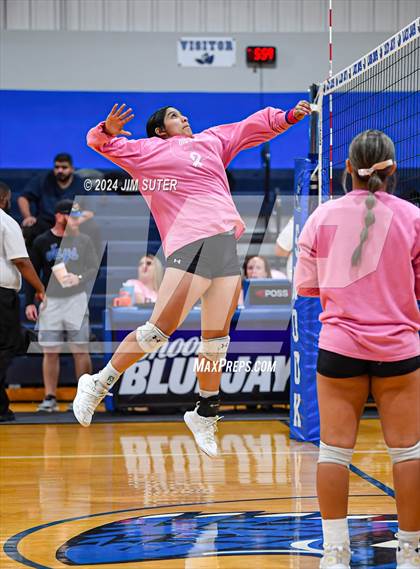 Thumbnail 1 in Snook vs Hearne photogallery.