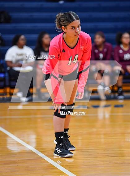 Thumbnail 3 in Snook vs Hearne photogallery.