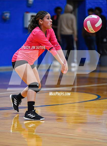 Thumbnail 2 in Snook vs Hearne photogallery.