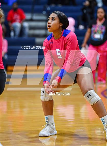 Thumbnail 3 in Snook vs Hearne photogallery.
