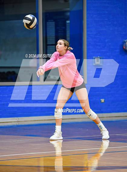 Thumbnail 1 in Snook vs Hearne photogallery.