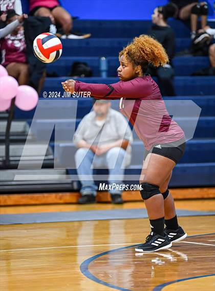 Thumbnail 1 in Snook vs Hearne photogallery.