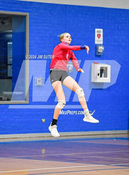 Thumbnail 1 in Snook vs Hearne photogallery.