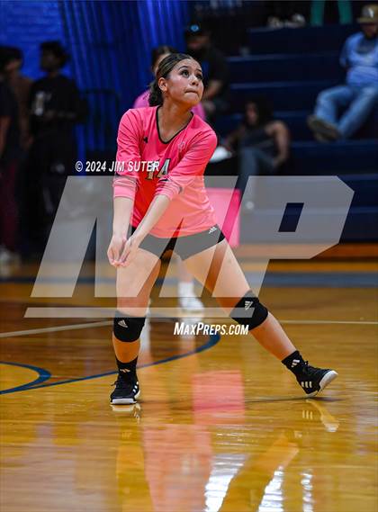 Thumbnail 1 in Snook vs Hearne photogallery.