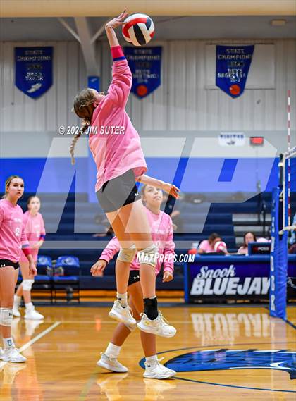 Thumbnail 3 in Snook vs Hearne photogallery.