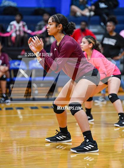 Thumbnail 1 in Snook vs Hearne photogallery.